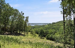 Lazarus Road lot: 9, Branson West, MO 65737