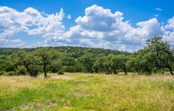 11797 Hackberry Rd, Rocksprings, TX 78880