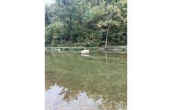 County Road 169, Brixey, MO 65618