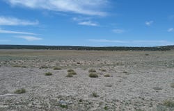 Windsor Valley Ranch 40, Concho, AZ 85924