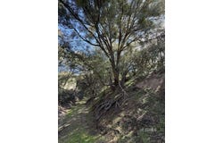 School St, Caliente, CA 93518