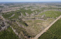 0 Co Rd 16, Pine Apple, AL 36768