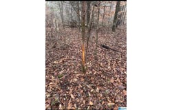 #1 HIGHWAY 55 lot: 1, STERRETT, AL 35147