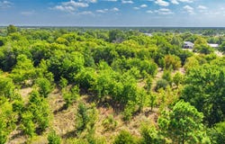 Gladys, Lone Oak, TX 75135