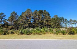 3028 New Castle Loop, Myrtle Beach, SC 29588
