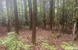 Upper Whitewater Road, Brevard, NC 28712