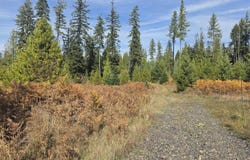 Timberline Heights, Parcel 4, Weippe, ID 83553