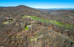 68 May Apple Way, Landrum, SC 29356