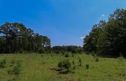 3915 Old Georgetown Road, Kershaw, SC 29067