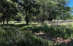 N Sandpiper Drive, Weatherford, TX 76088