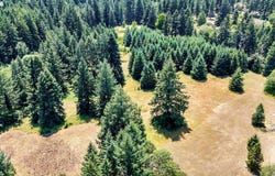 26104 JEANS Rd, Veneta, OR 97487