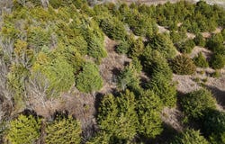 1300 FM 2675, Enloe, TX 75432