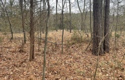 0 Wetipquin Rd, Quantico, MD 21856