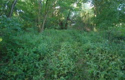 E 75N Road, Winamac, IN 46996