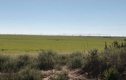 249 Rosevelt Rd, Texico, NM 88135