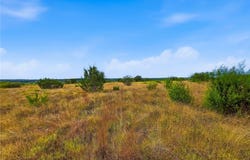 CR 607 lot: 1, Hamilton, TX 76531