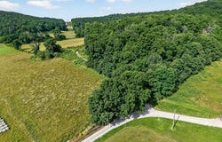 23.5AC Moore Cove Rd, Quebeck, TN 38579