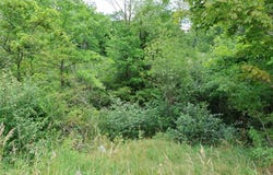 Lantz Road, Mansfield, OH 44906
