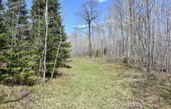 W8713 Co Rd G, Daggett, MI 49821