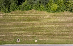 Belle Meade Drive, Murray, KY 42071