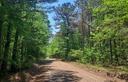 TOMMY MCGOUGH Rd, Carbon Hill, AL 35549
