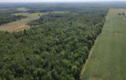 County Road M, Ogema, WI 54459