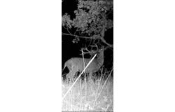 20401 Tomki, Redwood Valley, CA 95470
