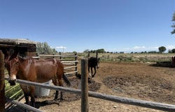 819 Jonathon Rd, Powell, WY 82435