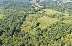 Dogtown Road, Benton, KY 42025