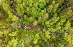 262 E BEACON HIGHLAND Rd, Stevenson, WA 98648