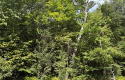 On Schwilk Road, Glidden, WI 54527