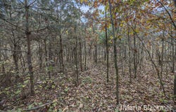 E Charles Road, Ionia, MI 48846