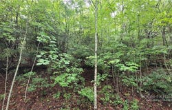 Gumtree Road, Beech Mountain, NC 28604