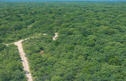 Medicine Stone Drive, Webster, FL 33597