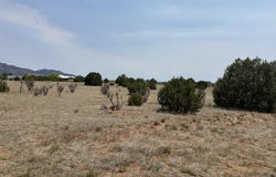 23 Joe Mae Road, Edgewood, NM 87015