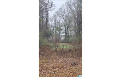 511 LAKEVIEW CIRCLE lot: 0, HARPERSVILLE, AL 35078