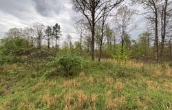 Lake Way lot: 9, Winona, MO 65588