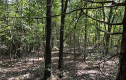 Fairview Drive lot: 0, Harrison, AR 72601