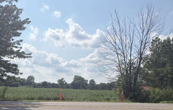 Capac Road, Armada Twp, MI 48005