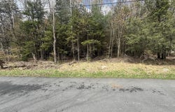 1522 Thunder, Pocono Summit, PA 18346