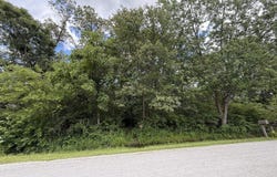 35841 S Jay Drive, Custer Park, IL 60481
