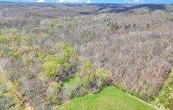 Covered Bridge Rd, Vinton, OH 45686