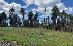 163 GOLETA Cour, Rociada, NM 87742