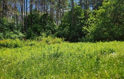 Stage Road, Unity, NH 03743