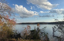 Atkins, AR 72823