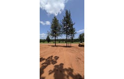 16416 Ridgeline Loop, Winona, TX 75792