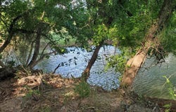 County Road 4757, Boyd, TX 76023
