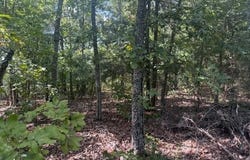 4031 CR 36, Clarkridge, AR 72623