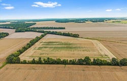 HWY 254 & Patterson Rd., Sacramento, KY 42372