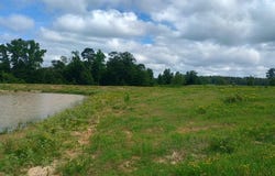 TRACT 9 HWY 990, Simms, TX 75574